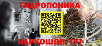 мдпв Аша