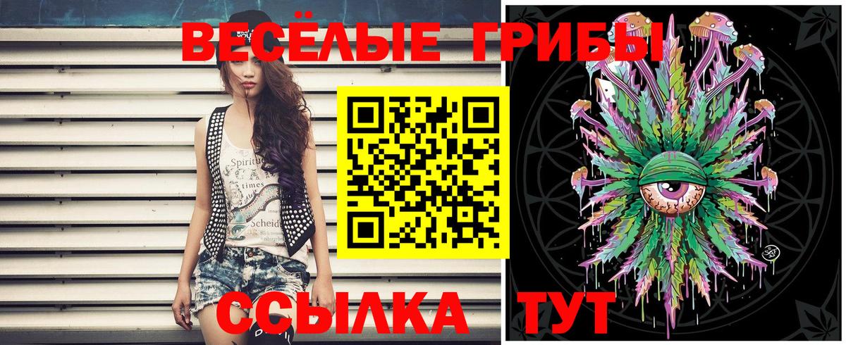 Галлюциногенные грибы Psilocybe  Псилоцибиновые грибы мухоморы  Вход с VPN  Ачинск 