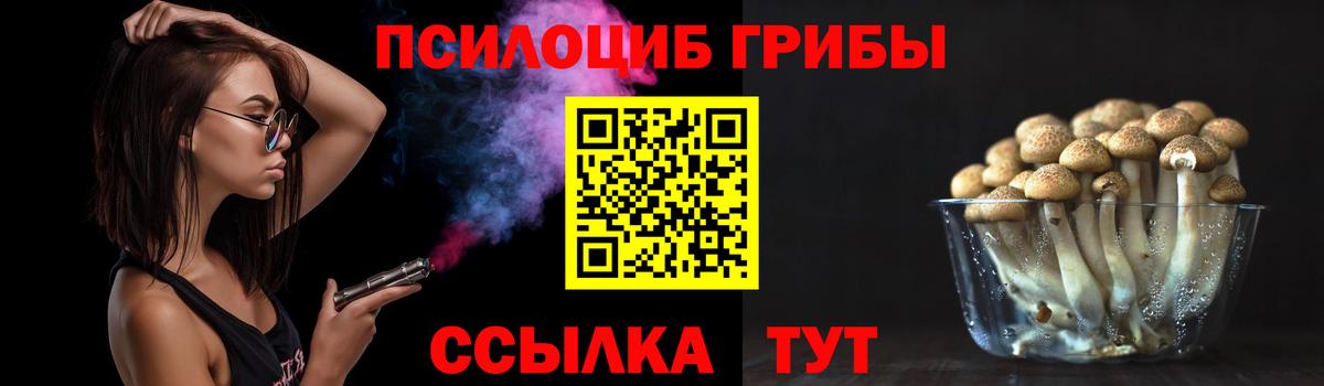 Галлюциногенные грибы прущие грибы Ачинск